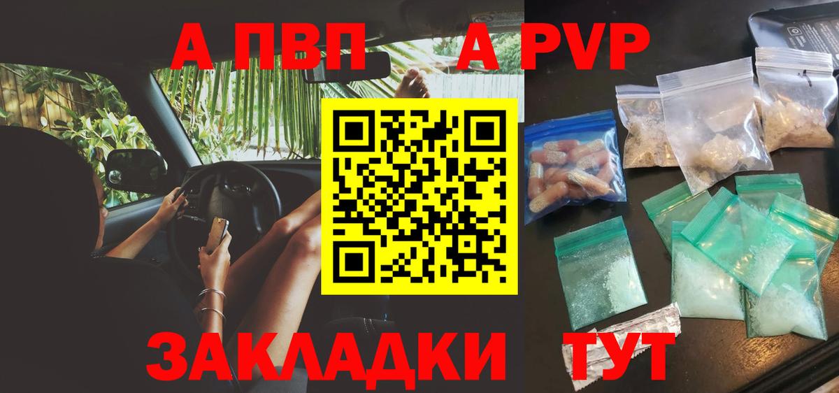 A PVP СК КРИС Тамбов