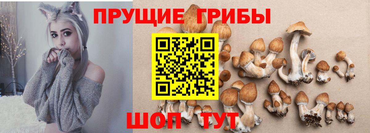 Галлюциногенные грибы ЛСД Тамбов